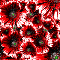 Photoshop Pattern