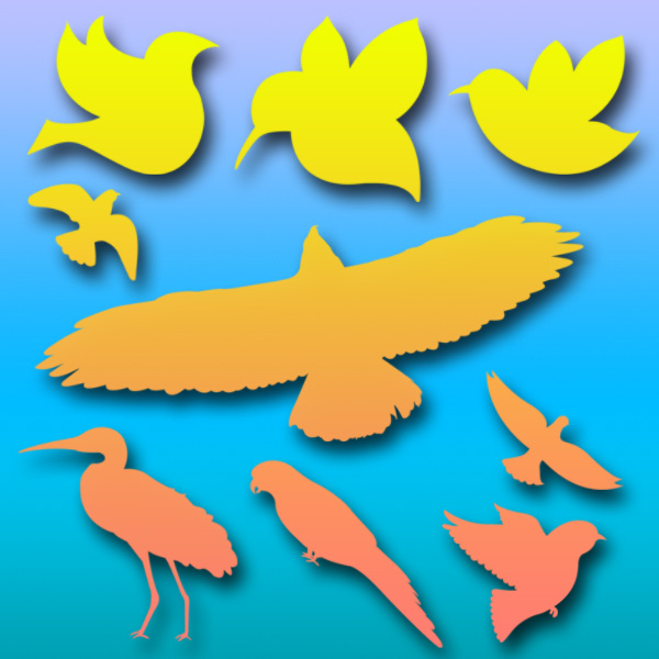 Birds Brushes