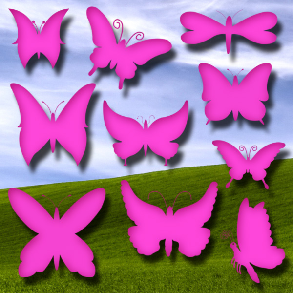 butterfly brushes