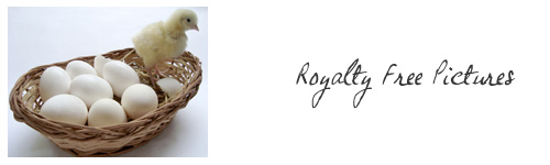 royalty free pictures