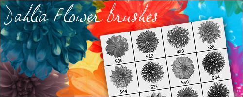Dahlia Brushes