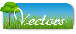 vectors